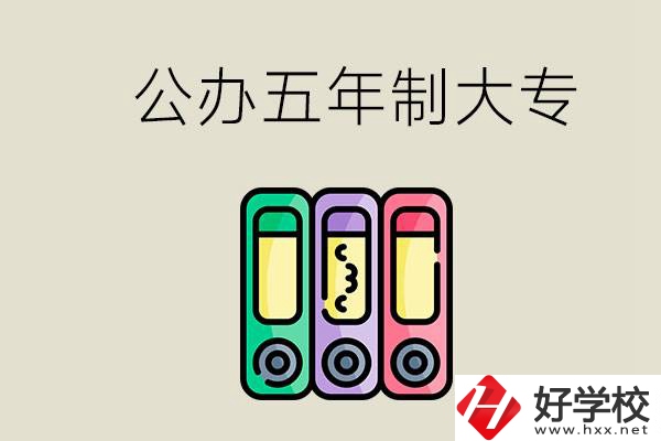 岳陽有什么公辦的五年制大專學(xué)校？讀了有用嗎？
