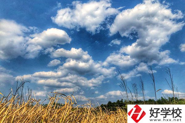 衡陽(yáng)市瀟湘衛(wèi)生中等專(zhuān)業(yè)學(xué)校有哪些特色專(zhuān)業(yè)？