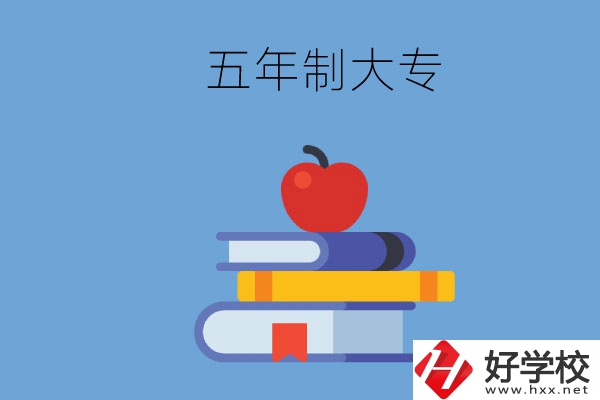 長沙開設(shè)教育類專業(yè)的五年制大專有哪些？