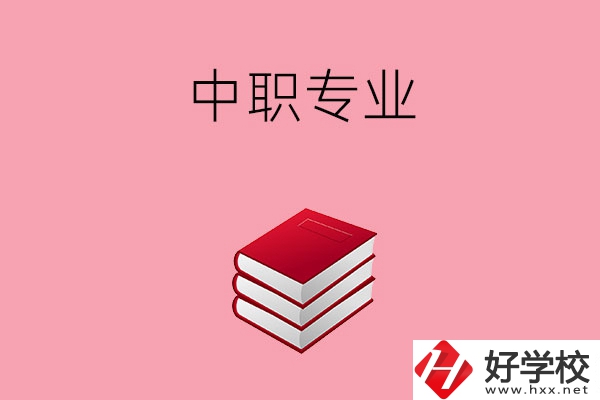 在懷化讀中職選什么專(zhuān)業(yè)比較好？就業(yè)方向如何？