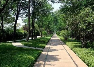 資陽市雁江區(qū)忠義高級職業(yè)中學2025年各專業(yè)招生計劃