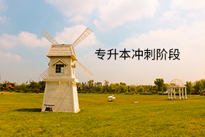 專(zhuān)升本沖刺階段