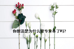 你想清楚為什么要專升本了嗎？