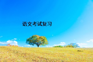 語(yǔ)文考試復(fù)習(xí)