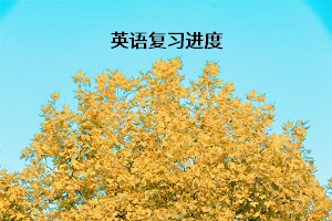 英語復(fù)習(xí)進(jìn)度