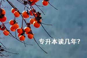 專升本讀幾年？