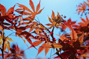 確定目標
