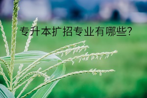 專升本擴招專業(yè)有哪些？