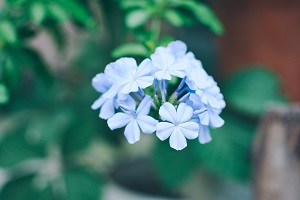擴招后報考人數(shù)是否會激增？