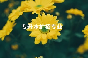 今年普通專升本擴(kuò)招專業(yè)有哪些？預(yù)計哪些專業(yè)將成熱門專業(yè)？