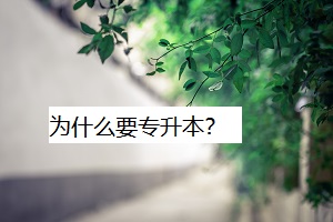 為什么要專升本？