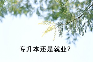 專升本還是就業(yè)？
