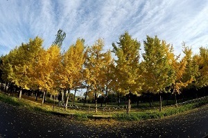 大專第三年才開始準備普通專升本考試來得及嗎？該如何備考？