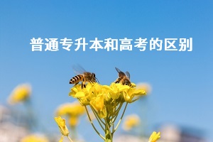 普通專升本和高考之間有什么差別？哪個更難考？