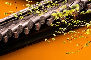 普通專升本備考的第一步是先擇校還是先選專業(yè)？