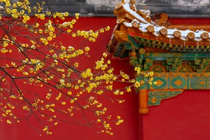 全日制普通專升本和本科有區(qū)別嗎？哪些地方是不同的？
